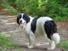aaron-20-08-06-1