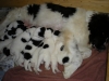 dscn0259
