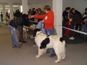 DSC05479