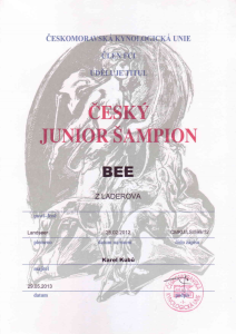 BEE-CJS