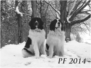 PF 2014