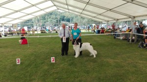 IMG_20160814_113227