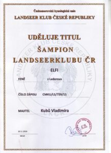 ĆH LK Elfi
